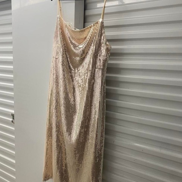 NWT ASOS brand champagne /ivory color sequin midi slip dress. Size 20/xl - Picture 4 of 4